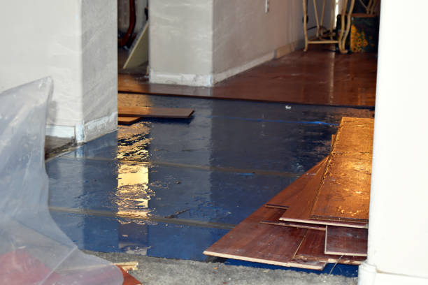 Professional Water Extraction technician working in Oglesby, TX
